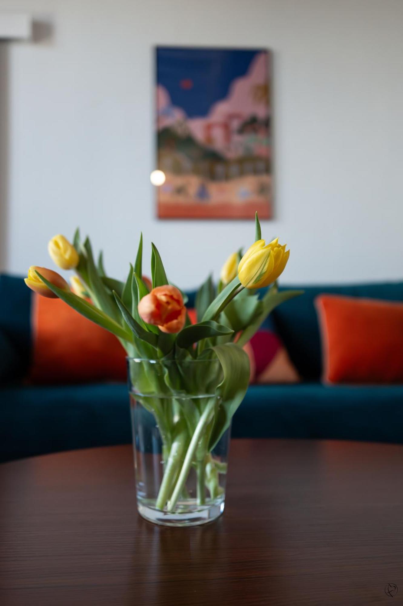 Appartement Orange Sunset à Draguignan Extérieur photo
